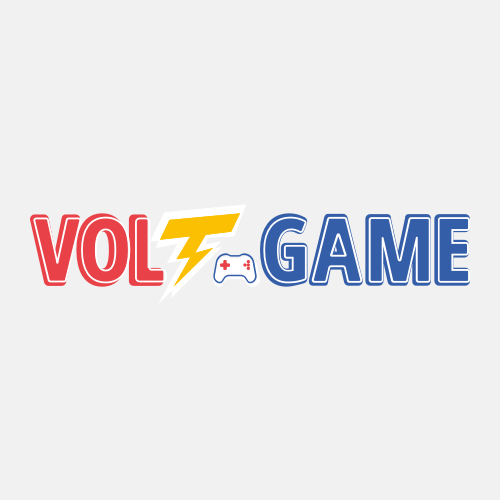 Франшиза VoltGame – магазин консолей, приставок и видеоигр
