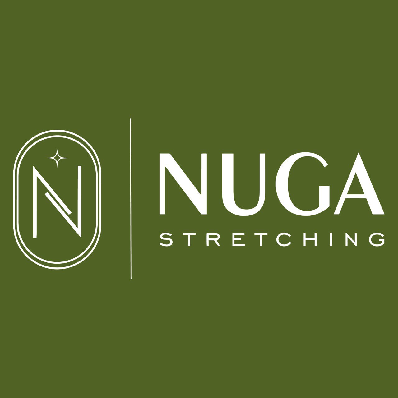 Франшиза NUGA – федеральная сеть студий растяжки и фитнеса