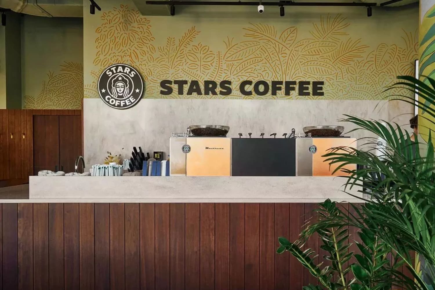 Франшиза STARS COFFEE – кофейня