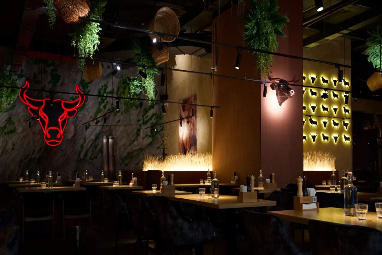 Франшиза The Бык – сеть мясных ресторанов